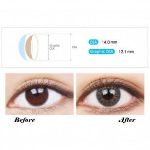 True Fit Gray(年拋) True Fit Gray(年拋)